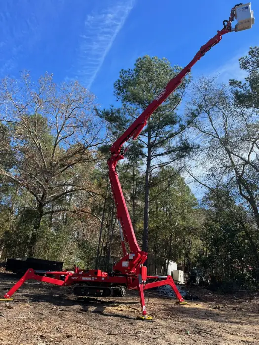 Professional Tree Removal