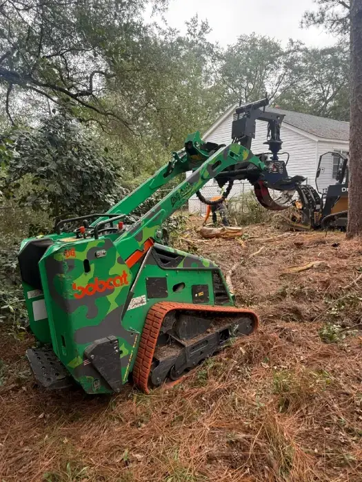 Professional Tree Removal