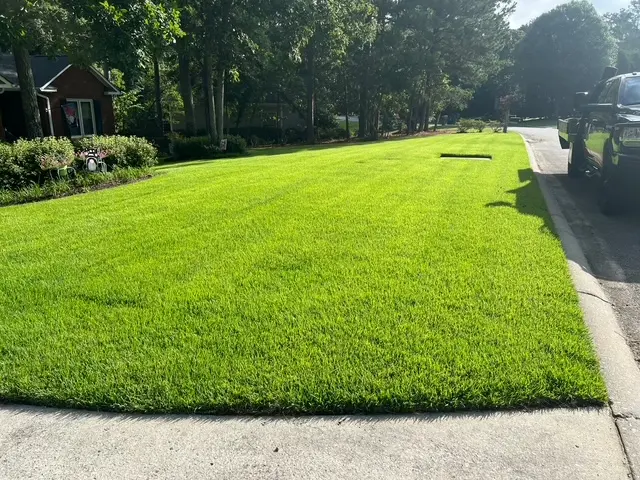 Landscaping Service