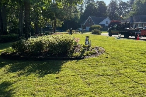 Sod Service